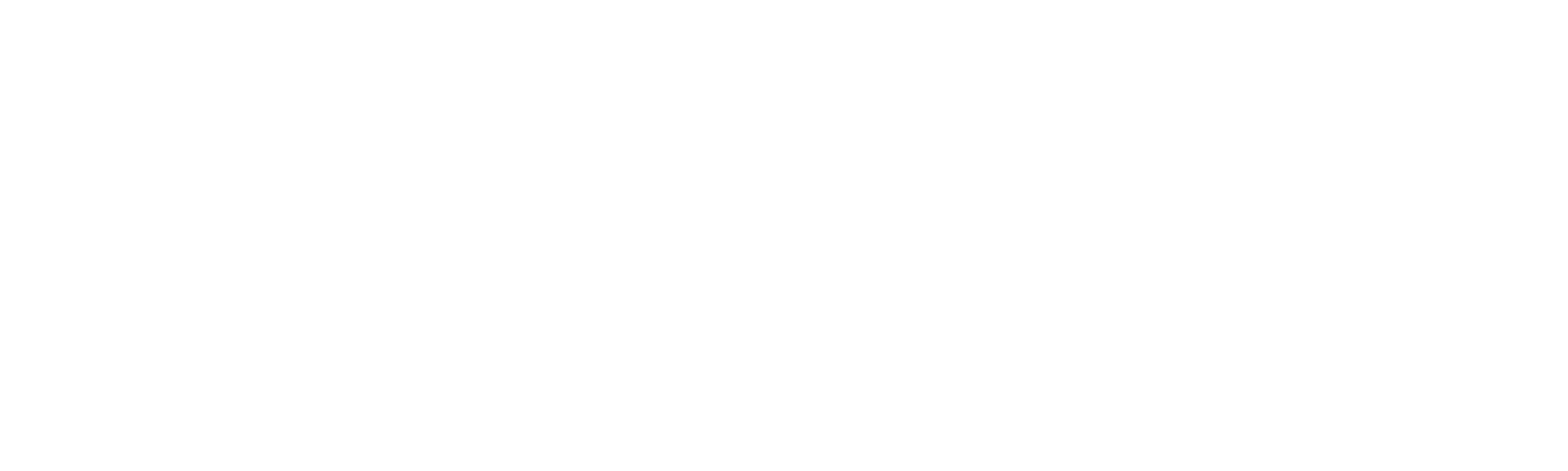 Duplexline